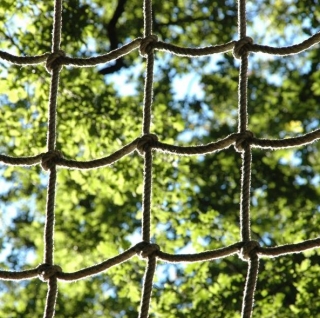  En plena naturaleza 